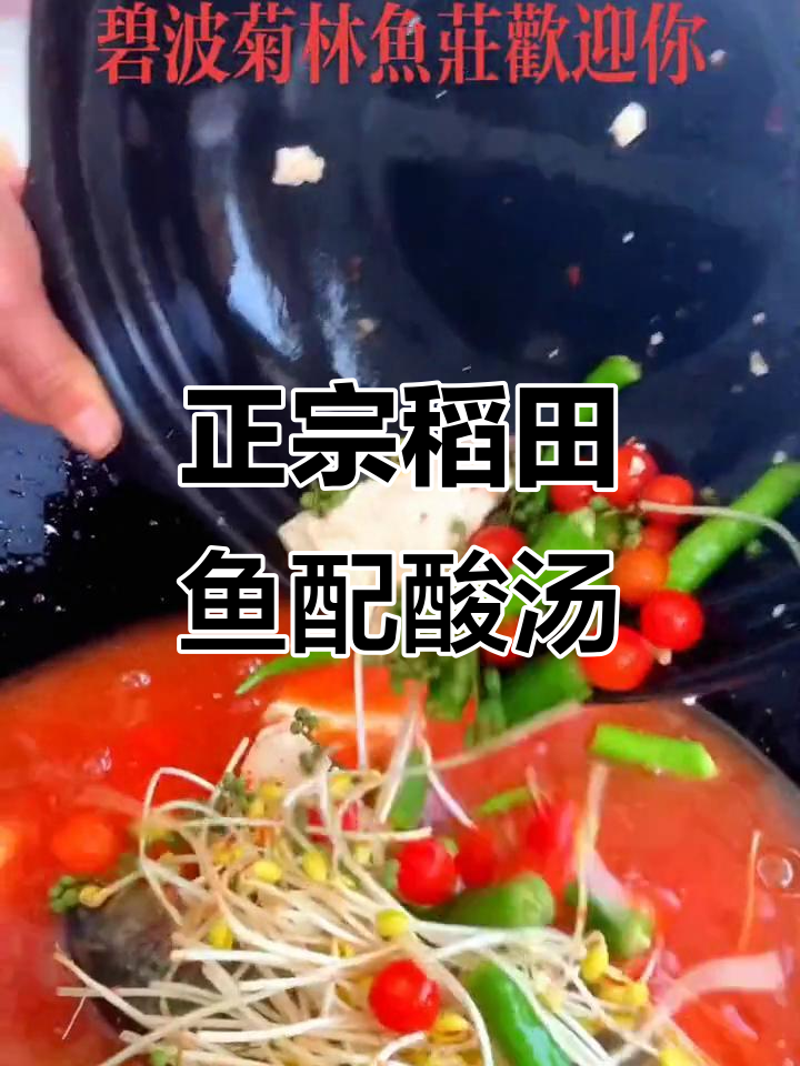 碧波菊林鱼庄:稻田鱼的独特美味与农家酸汤搭配