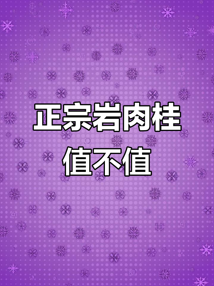 200元能买到正宗岩肉桂吗？老朱婆班竹科品质评测