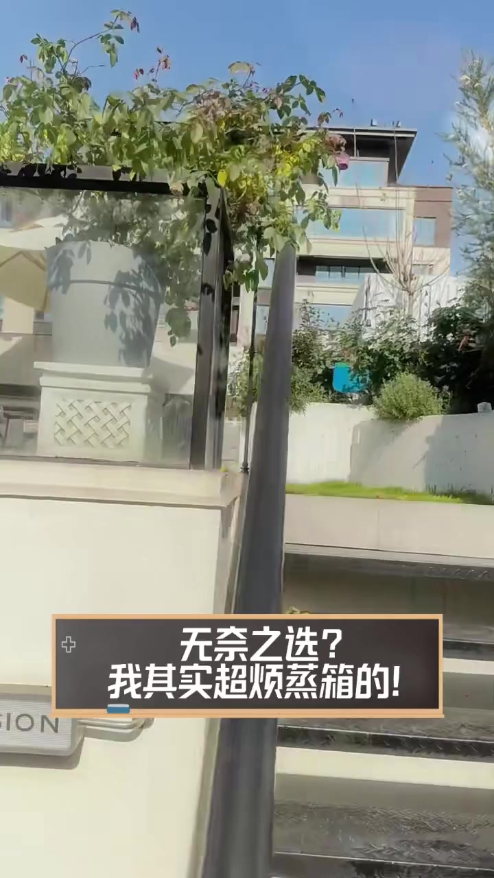 无奈之选?我其实超烦蒸箱的!