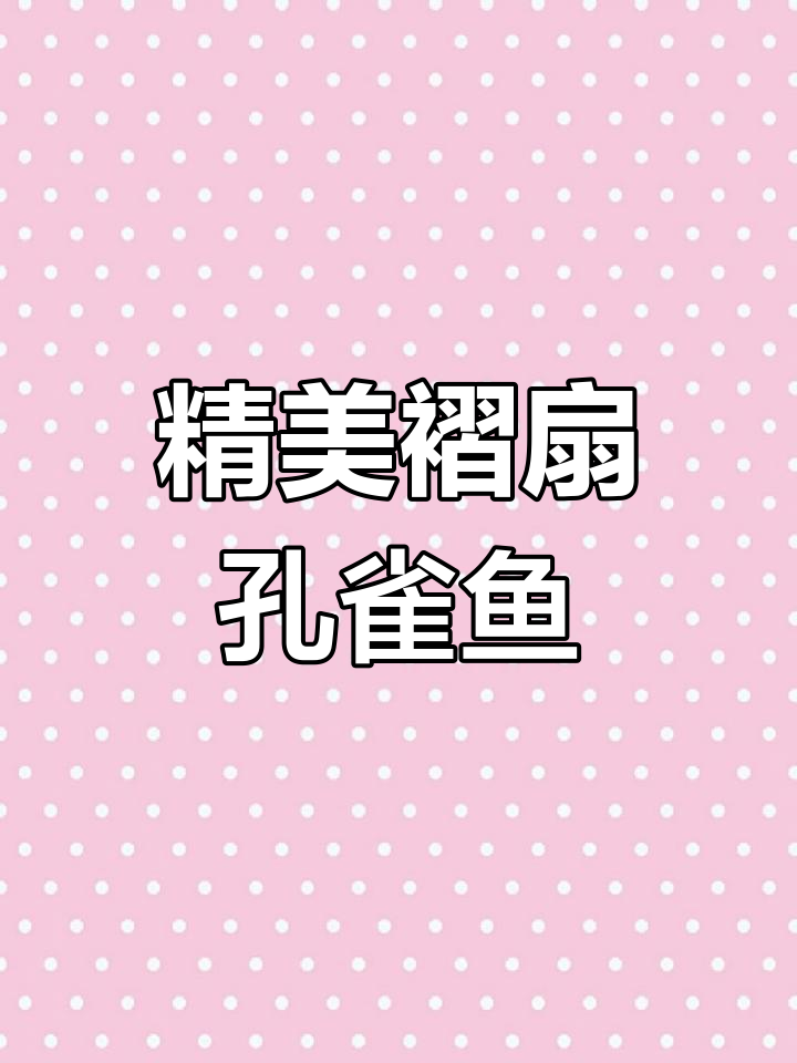 精致褶扇孔雀鱼,美丽如花,三到四厘米超可爱