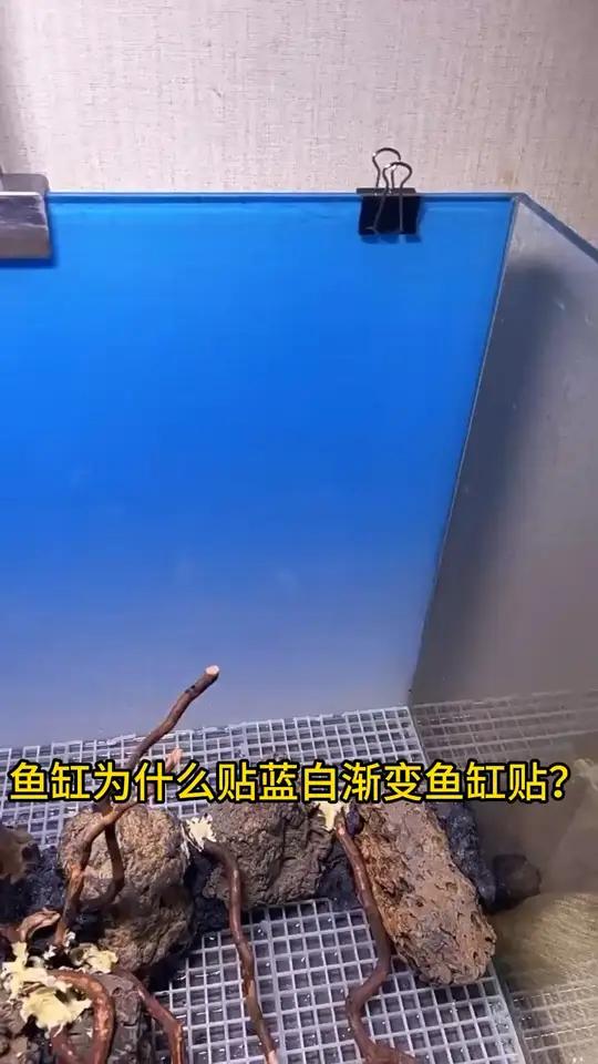 告别单调！渐变蓝白鱼缸贴纸让水族箱焕然一新！蓝白渐变色高清不掉色鱼缸背景贴纸渐变鱼缸贴鱼缸
