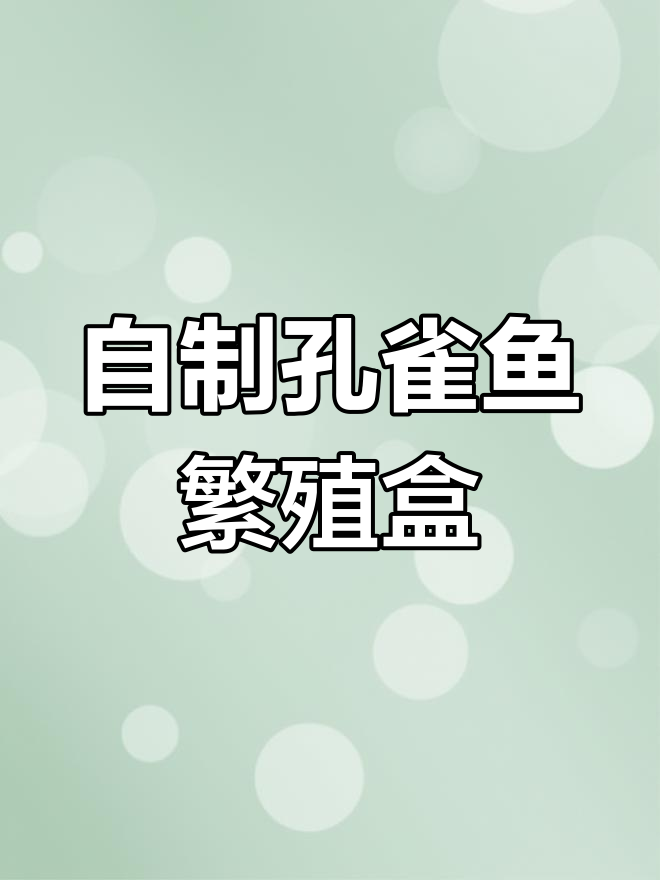 制作高级孔雀鱼繁殖盒,轻松孵化小鱼