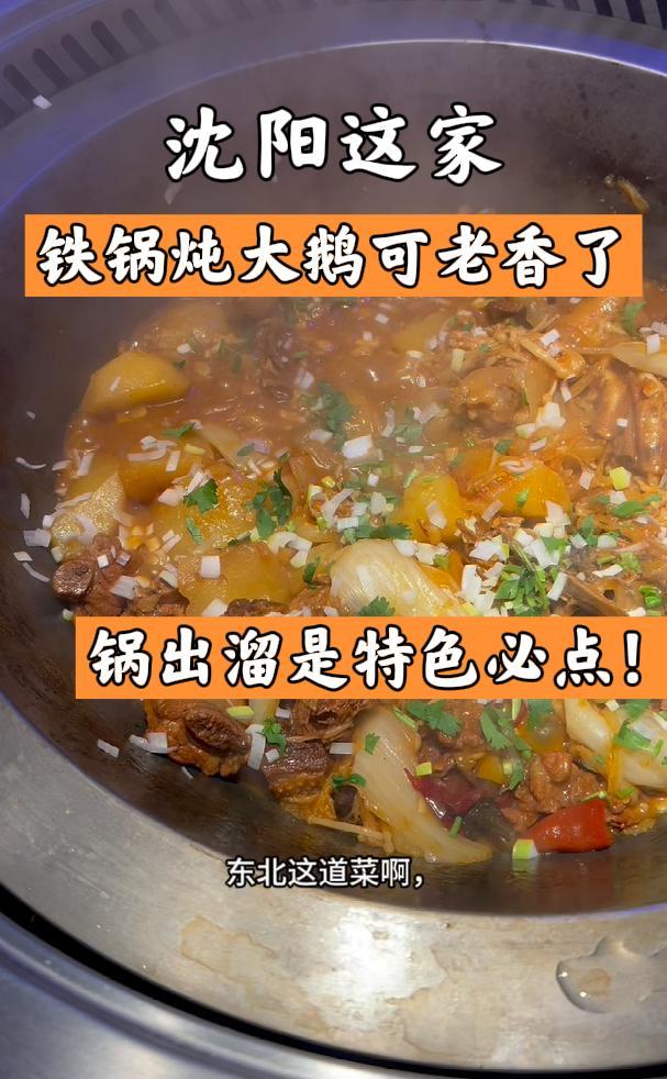 沈阳这家铁锅炖大鹅可老香了,锅出溜是特色必点!