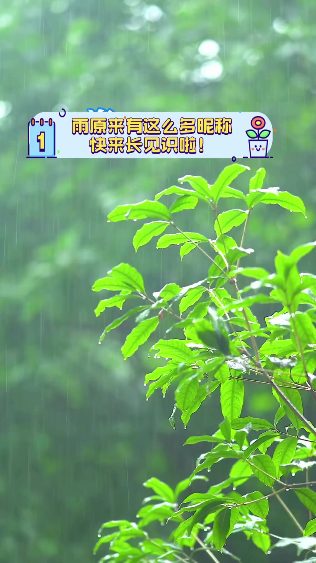 雨原来有这么多昵称,快来长见识啦!