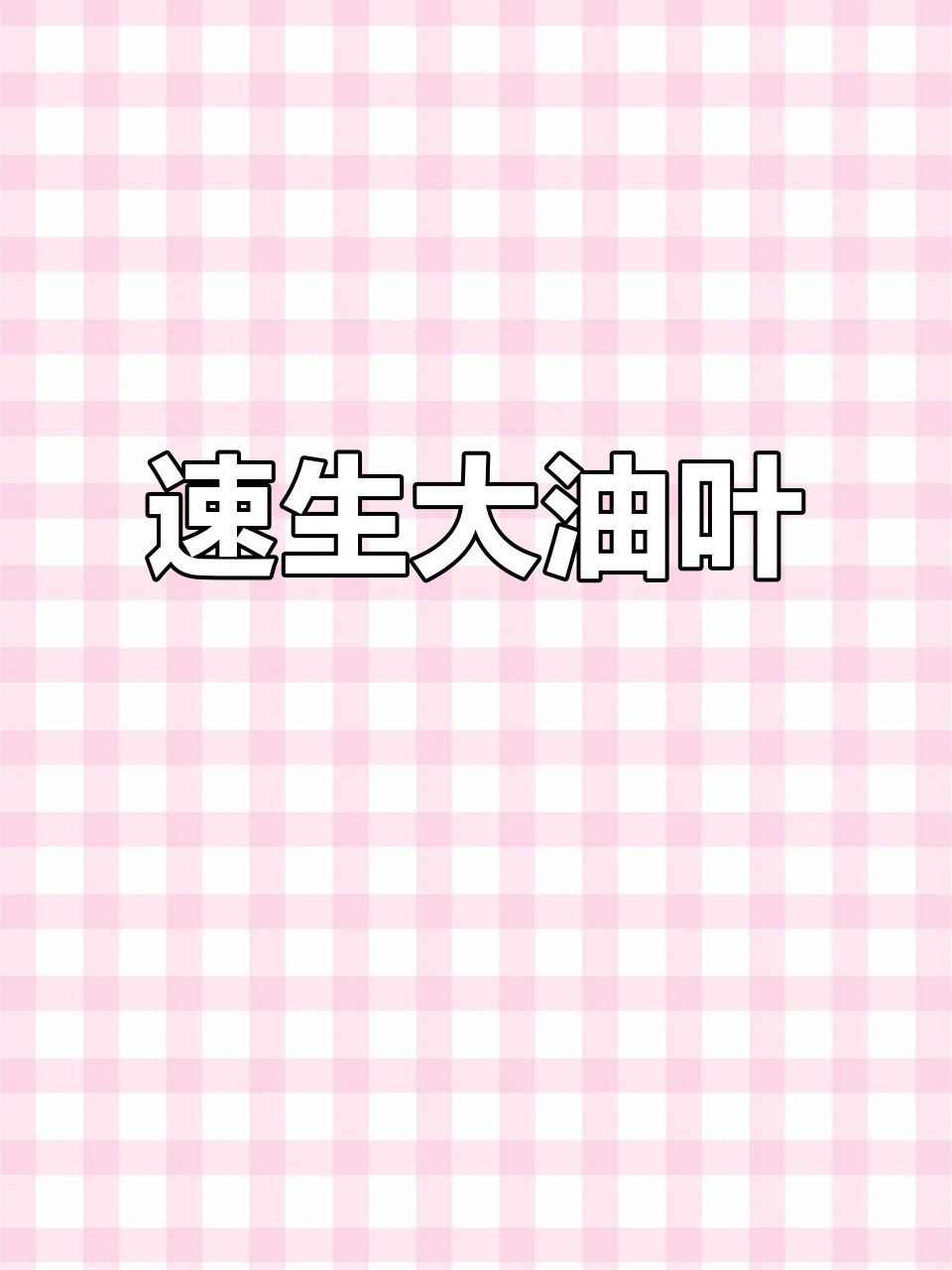 大油叶香菜,快速生长,耐热抗抽苔,香气扑鼻