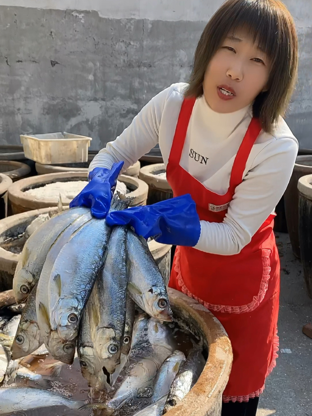 白鳞鱼,肉质细腻鲜美