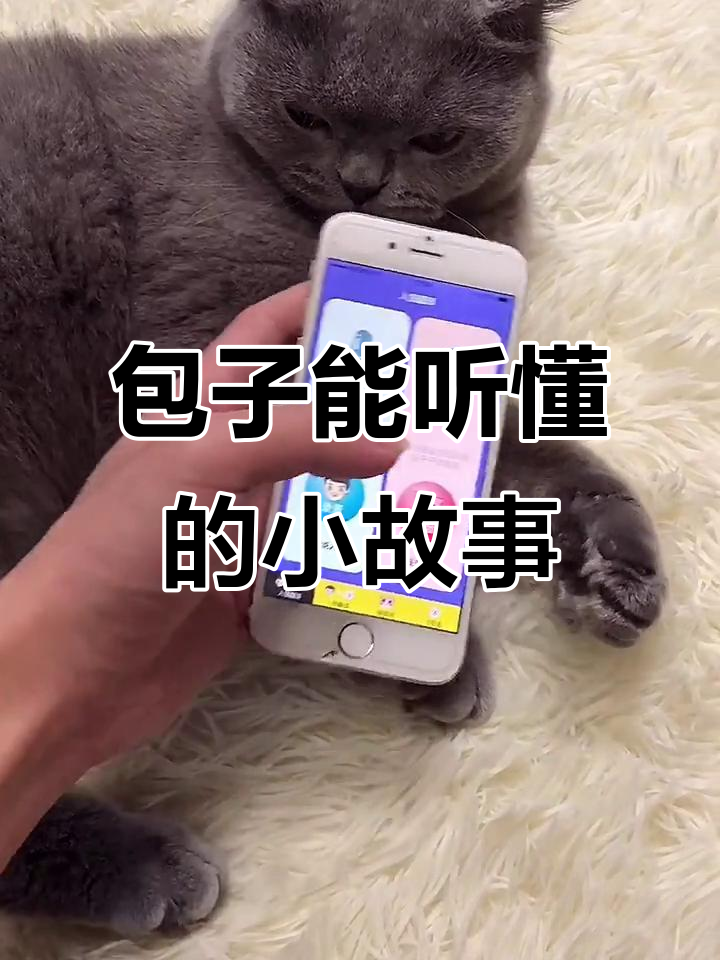 小猫咪调皮不听话,爸爸教训它一顿脆皮烤猫肉