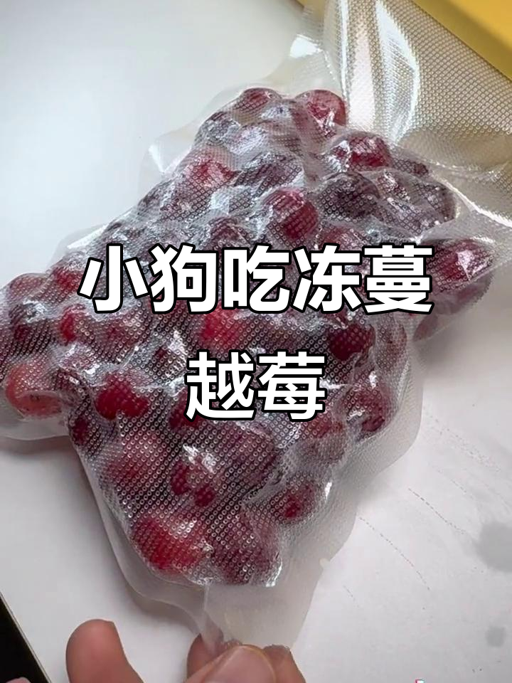 狗狗的冷冻蔓越莓,抽真空包装超方便