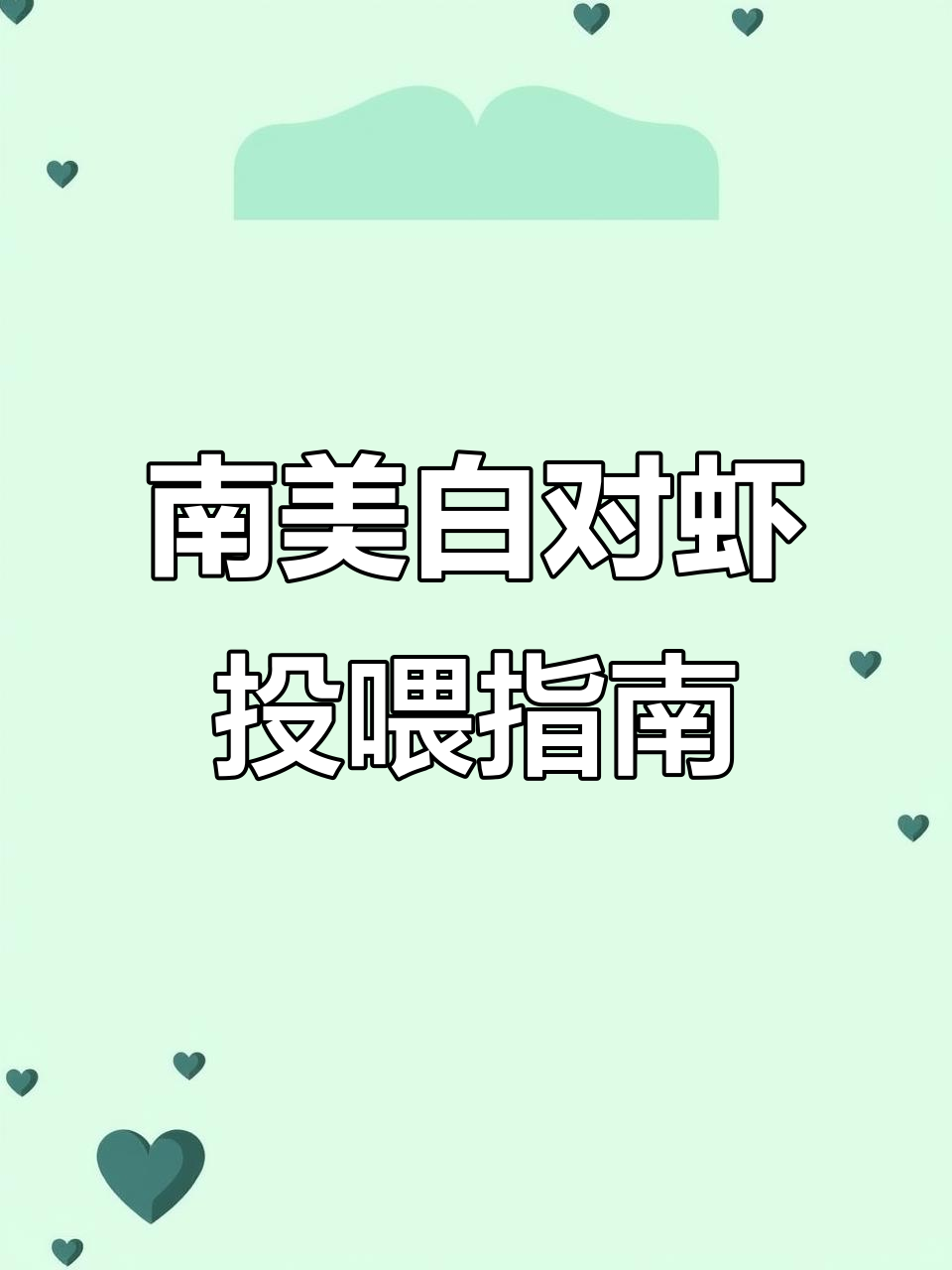 南美白对虾养殖技巧:水温适宜下的投喂参考表