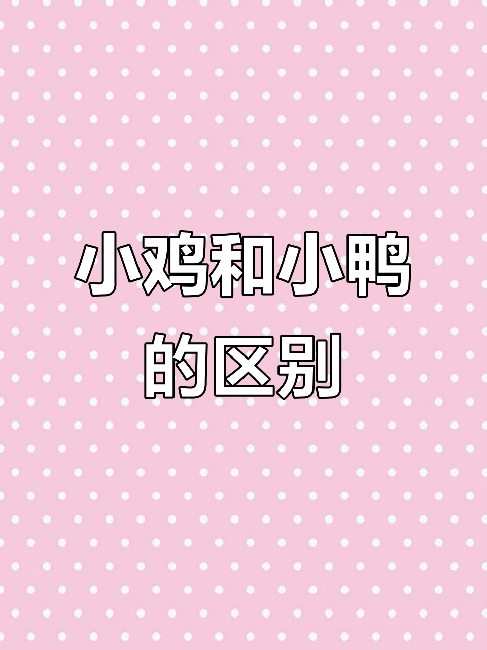 小鸡小鸭大不同,这些细节你知道吗?