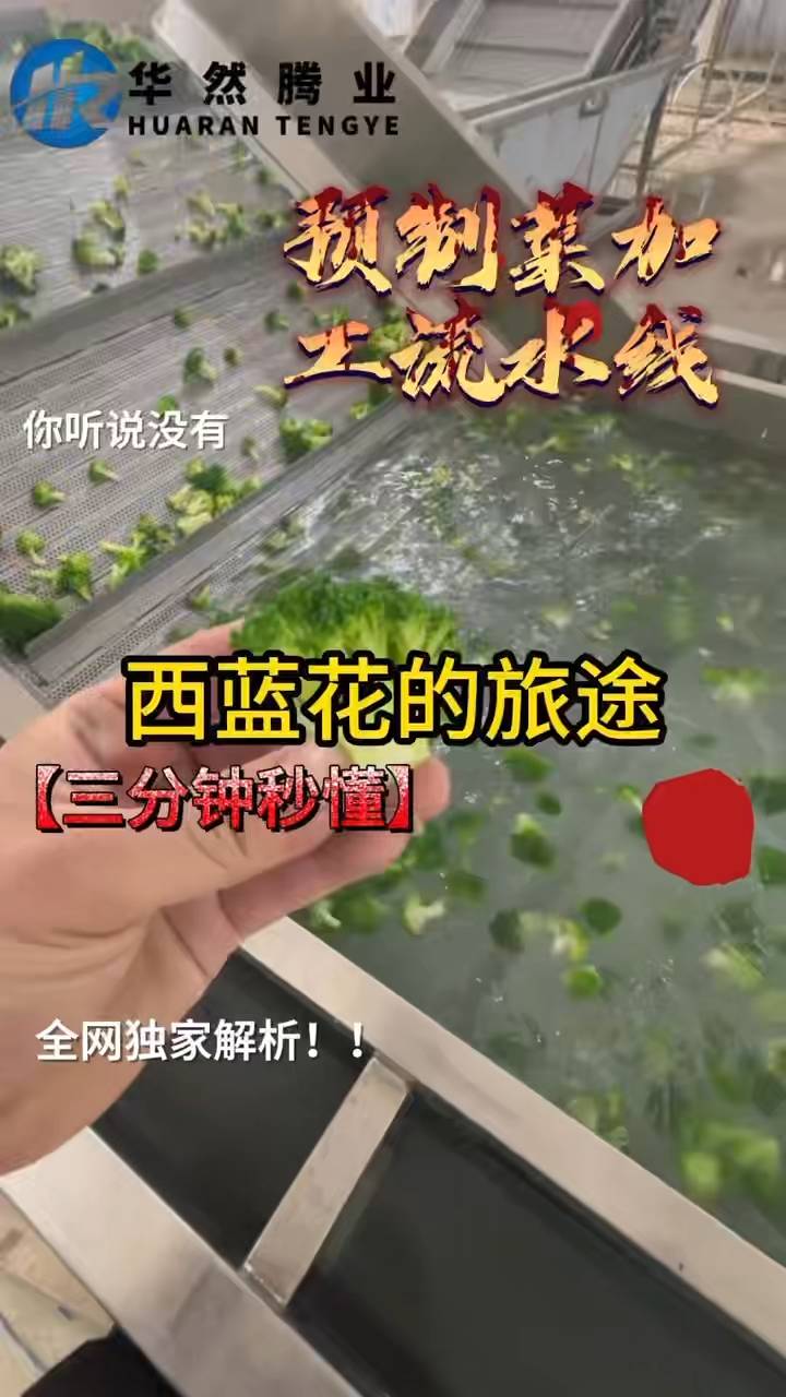 蔬菜加工设备