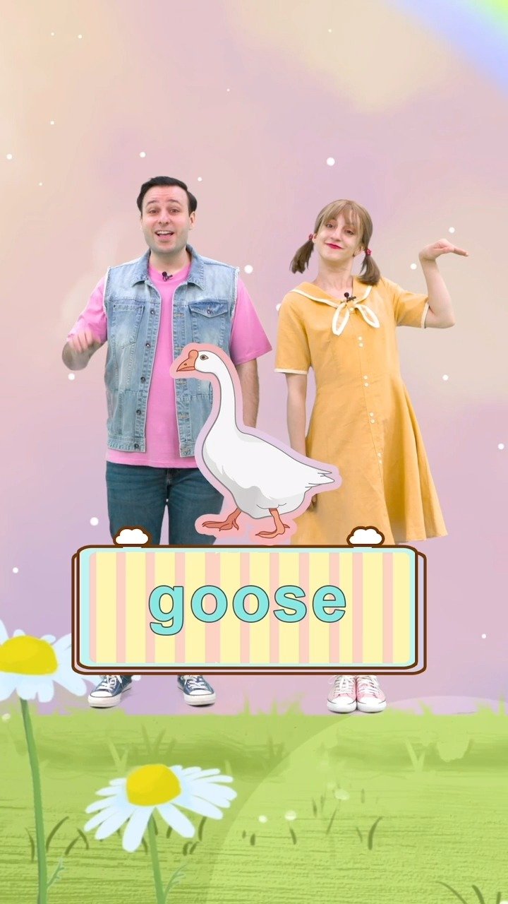 鸟的名字可不止bird,快来看看不同的鸟类名字是什么吧～单词小剧场 斑马App 动物英语单