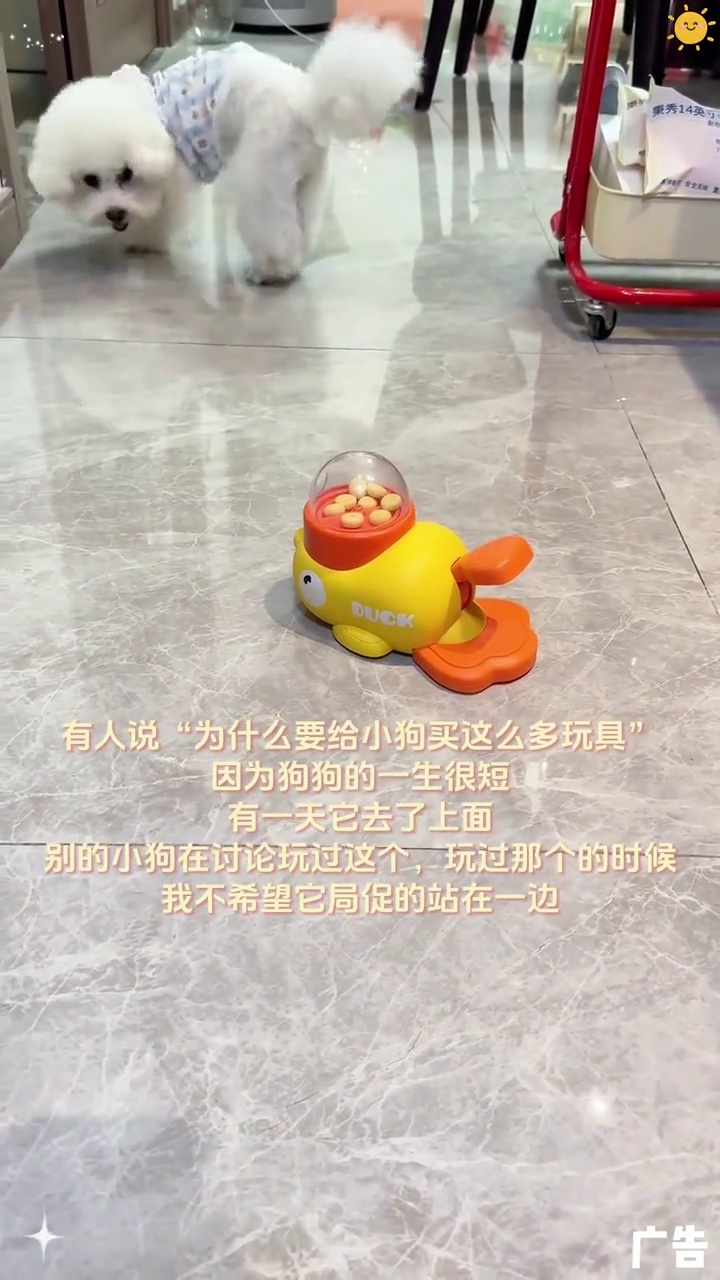 小黄鸭宠物漏食器猫咪狗狗互动玩具训练器宠物玩具狗粮猫咪漏食器 萌宠日常记录 萌化了 宠物玩