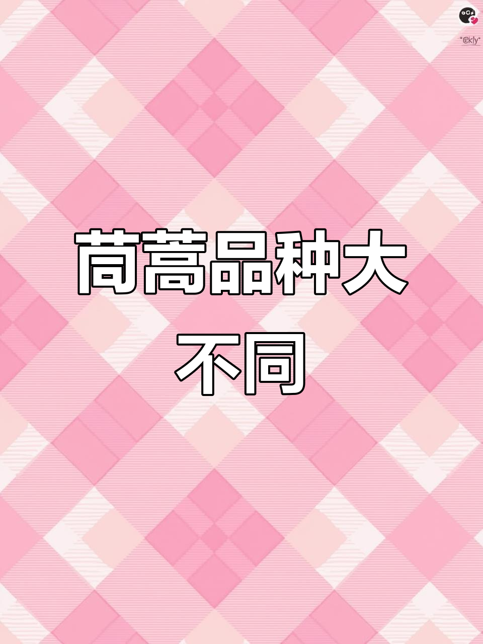 大叶茼蒿和小叶茼蒿的区别,哪种更适合你?