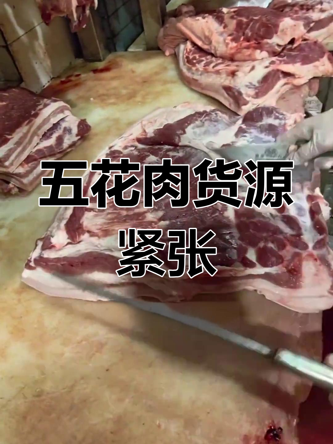 金鸡五花肉供不应求,猪价波动带来新商机