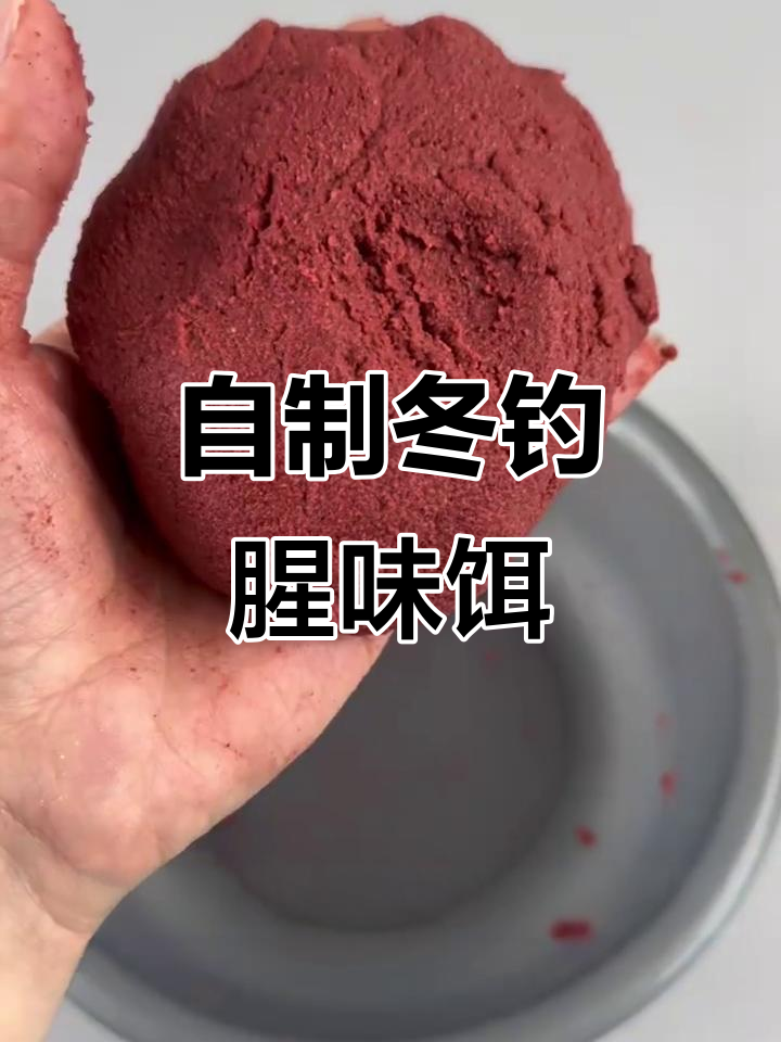 冬季腥味红虫饵料制作，钓鱼必备秘方