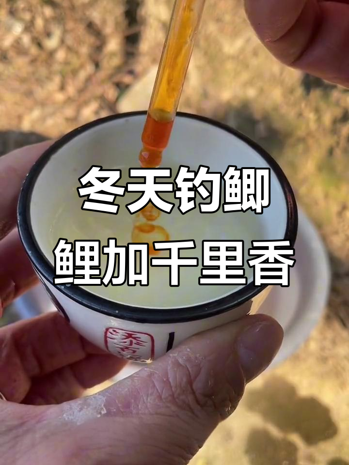 冬季钓鱼必备!千里香饵料诱食效果惊人