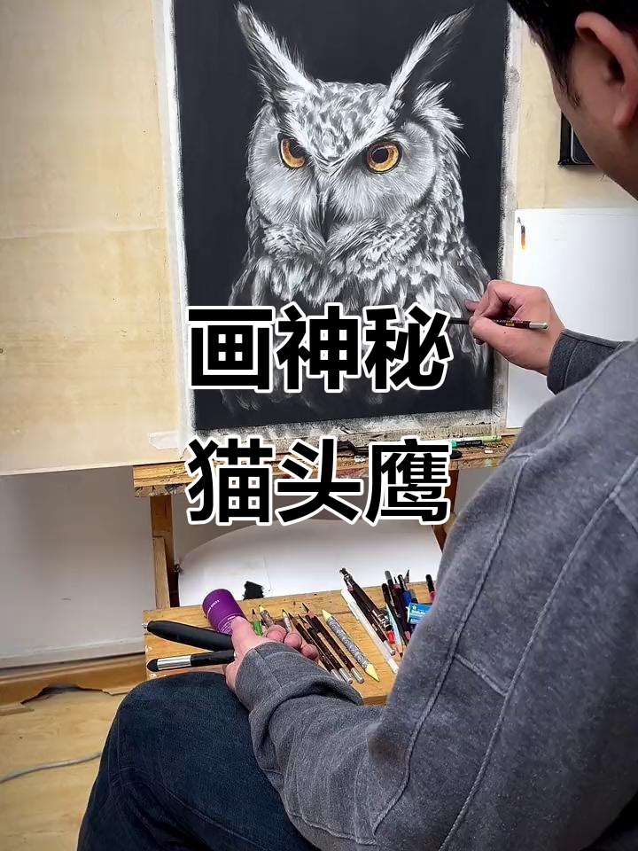 精微素描:画出神秘猫头鹰,细节决定成败