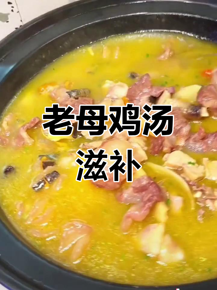 冬季温补炖品,老鸡牛鞭鲍鱼生蚝大集合