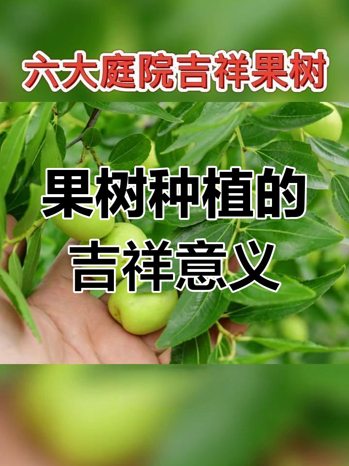 庭院果树种植指南:六种果树的寓意与功效