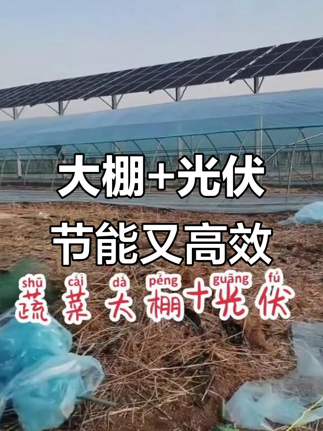 蔬菜大棚与光伏支架的完美结合,打造绿色农业新模式