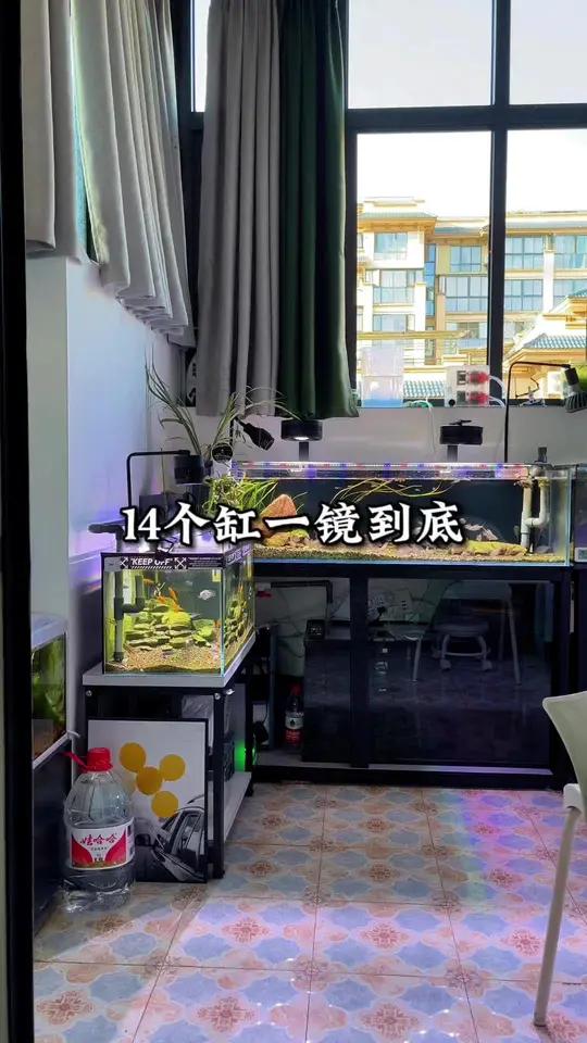 放不下了,真的放不下了,还有三个空缸在客厅没开……溪流缸 鱼缸造景 让喜欢的事成为生活