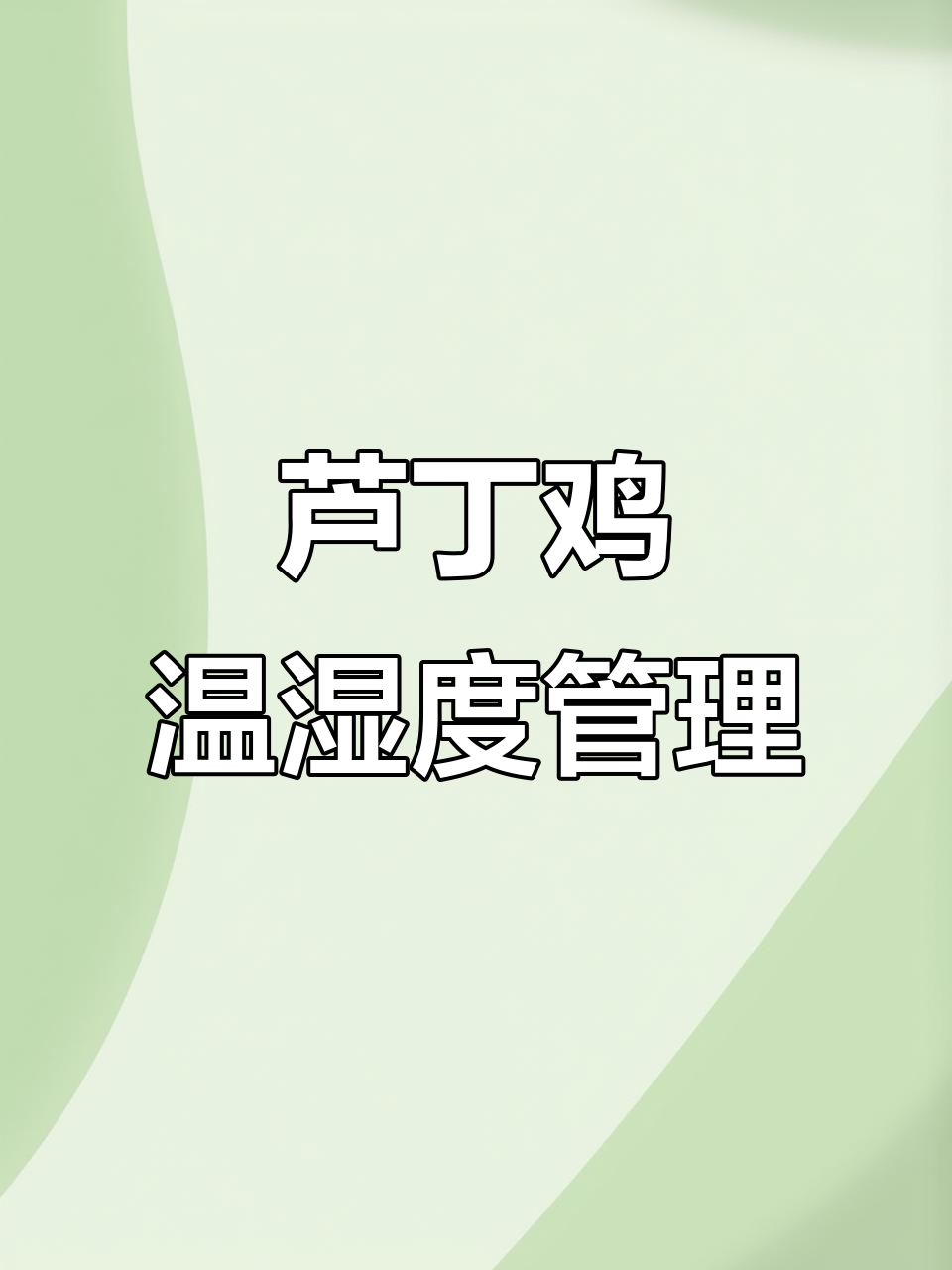 芦丁鸡养殖温度全攻略:从孵化到产蛋的温度要求