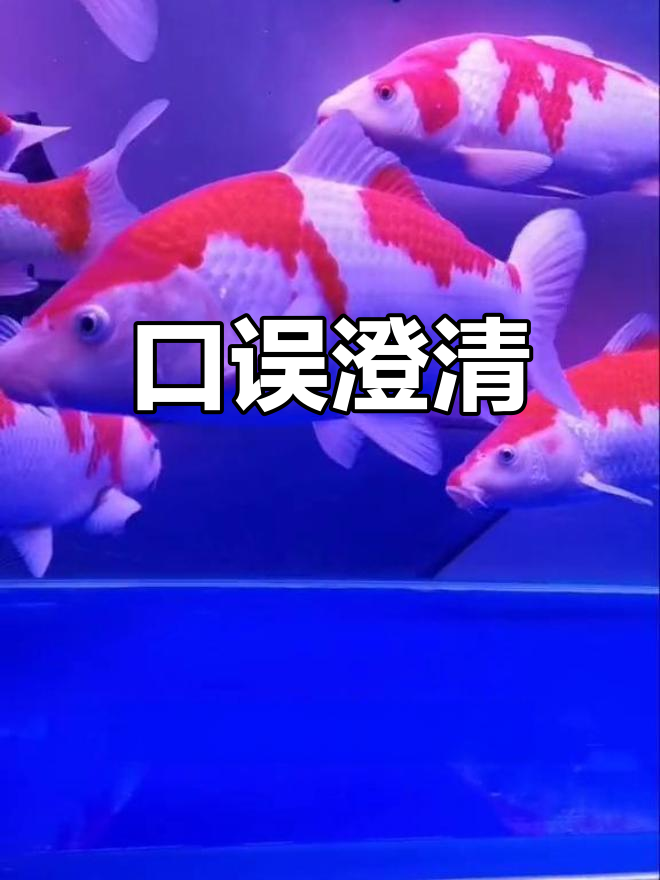 口误失误,白云病与白毛病混淆,下次会注意