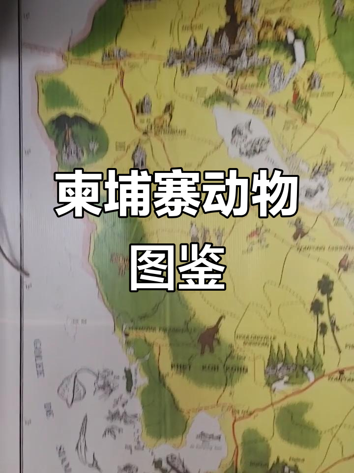 柬埔寨动物与自然保护区全览:从华南虎到小鳄鱼