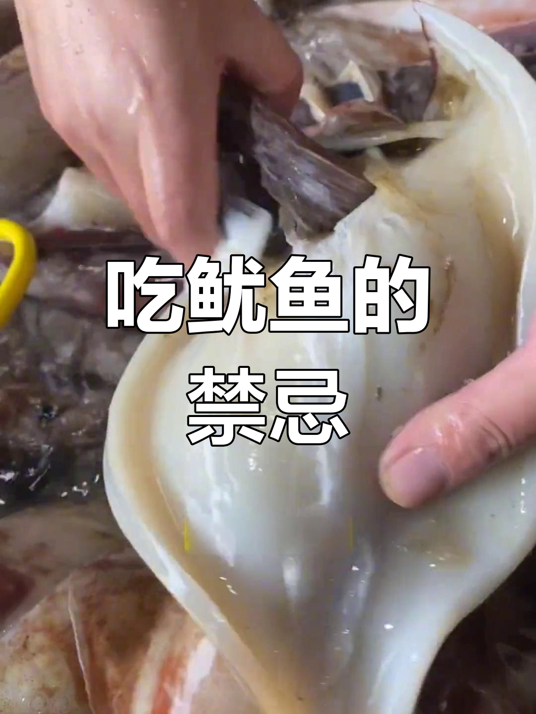 鱿鱼哪些部位不能吃?