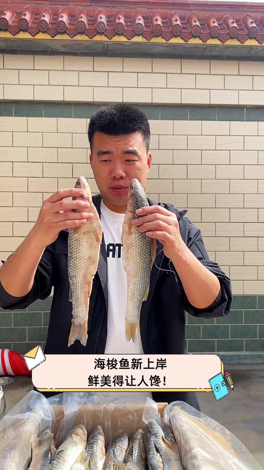 海梭鱼新上岸,鲜美得让人馋!