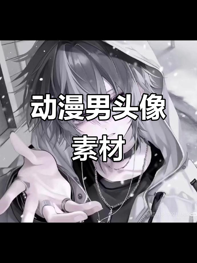 动漫男生头像大赏,精选优质图片展示