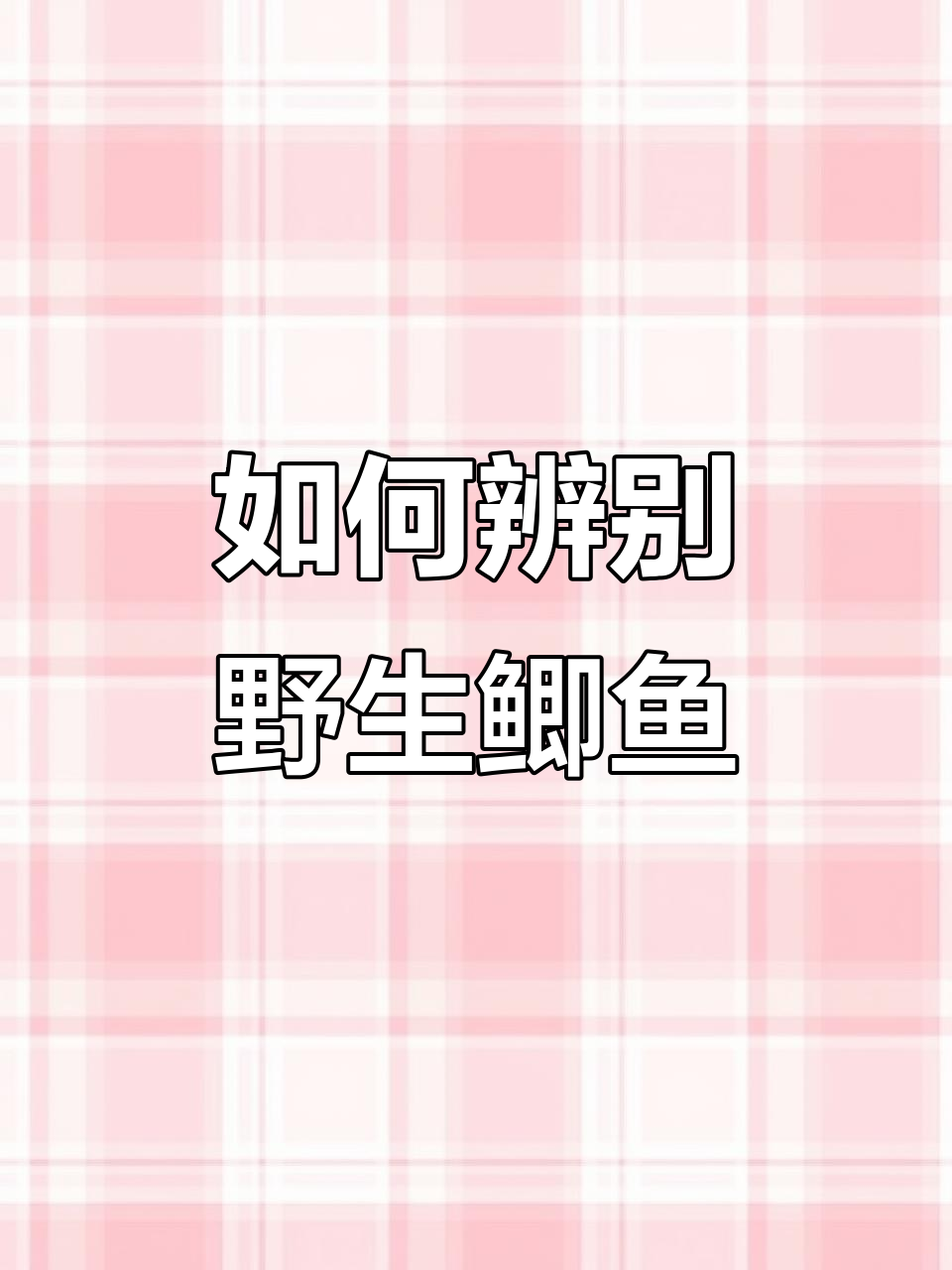 野生鲫鱼鳞片数法揭秘,如何正确判断是否为纯野生的?