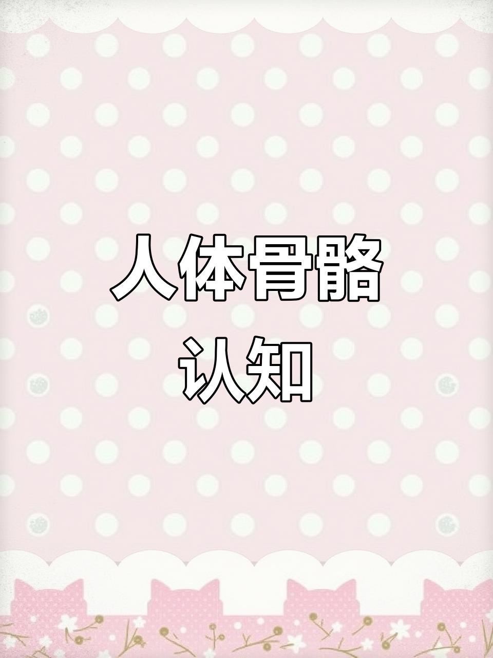 人体骨骼大揭秘,带你了解每个部位的名称和功能