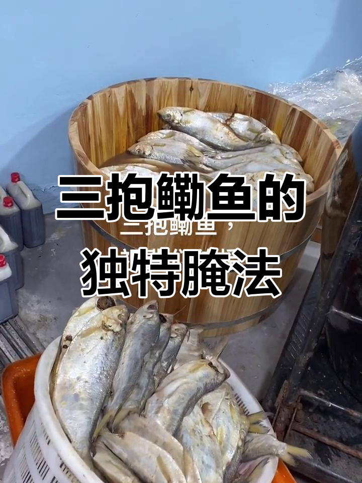 祖传三抱鳓鱼腌制法,自然风味一绝
