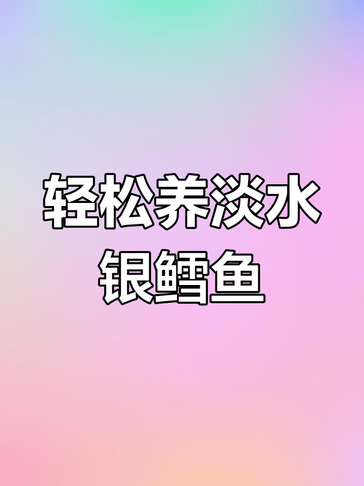 淡水银鳕鱼养殖技巧:简单、不挑水质,五个月就能出塘