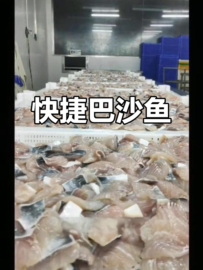 巴沙鱼片即解冻,腌制完成,省时又方便