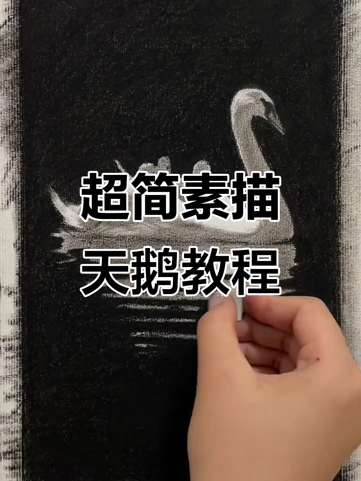 轻松画出可爱白天鹅，步骤简单又有趣