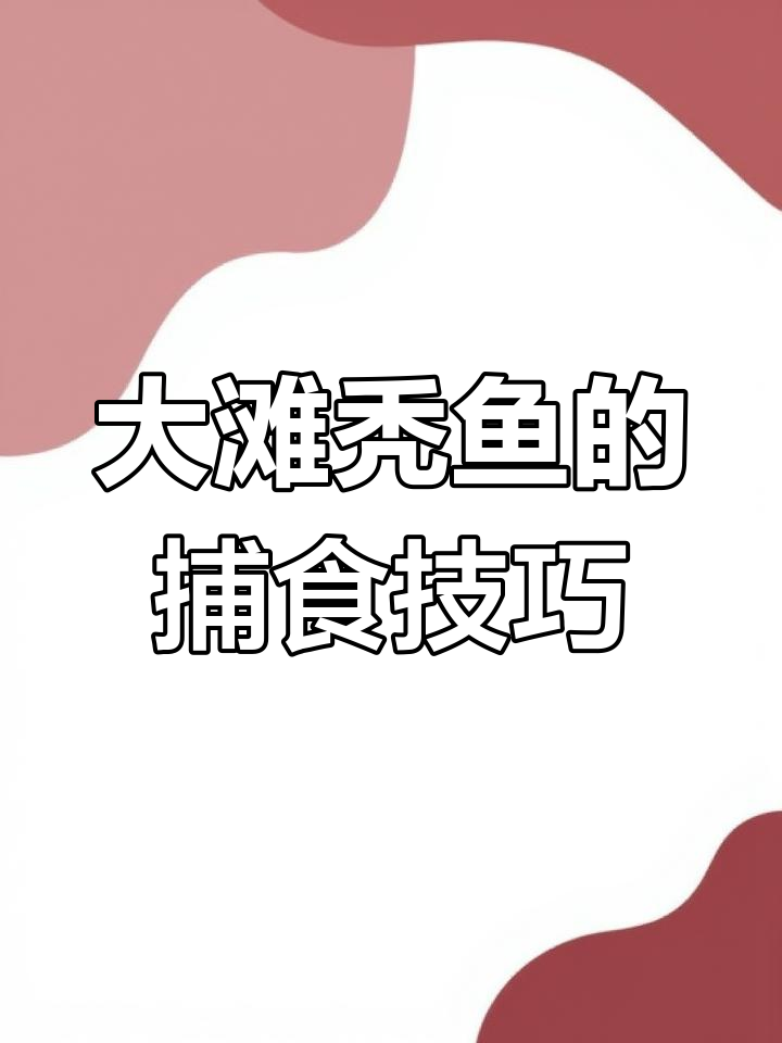 滩涂上的生死时速:大贪头鱼猎食与躲藏全过程