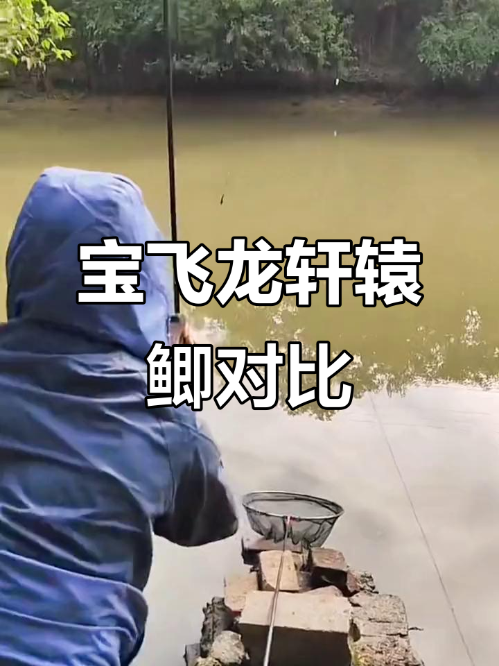 宝飞龙轩辕鲫与迪佳大物师对决,轻量版魁者能否胜出?