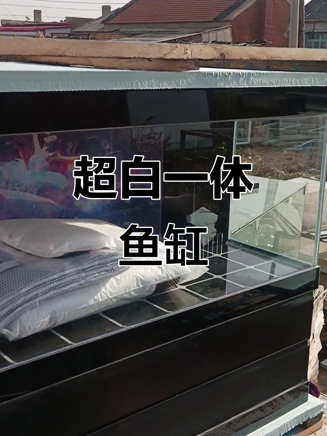 这款鱼缸设计精致,超白玻璃与干湿分离盒完美结合