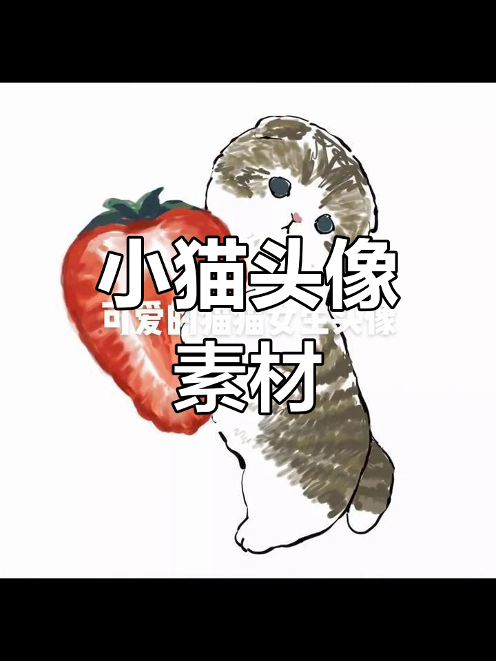 可爱小猫头像,女生必备