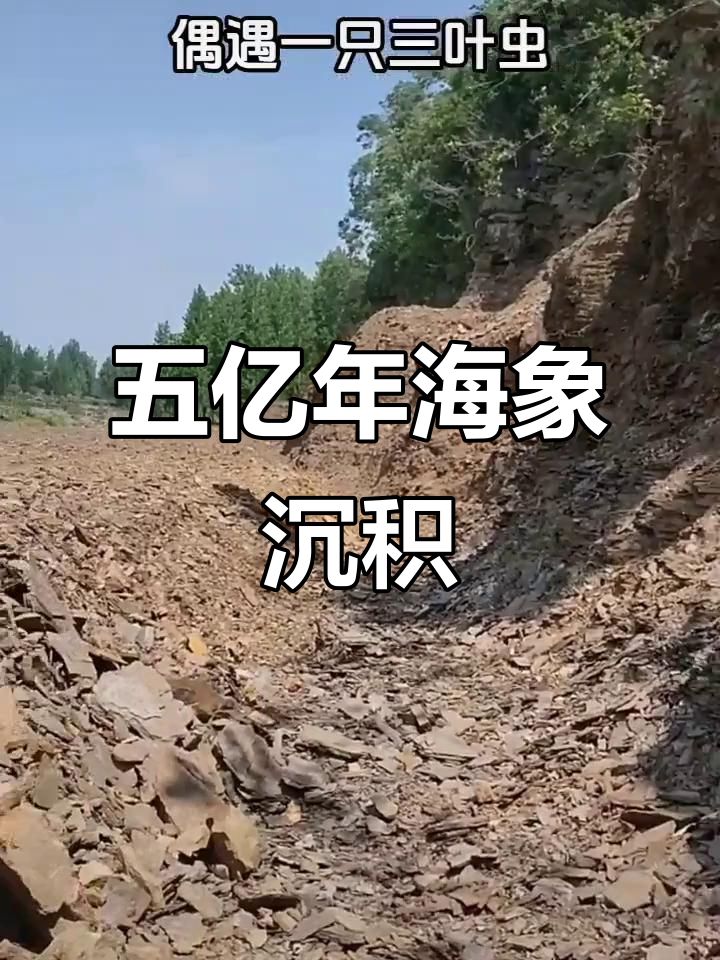 山东五亿年前曾被海水淹没,发现完整三叶虫化石