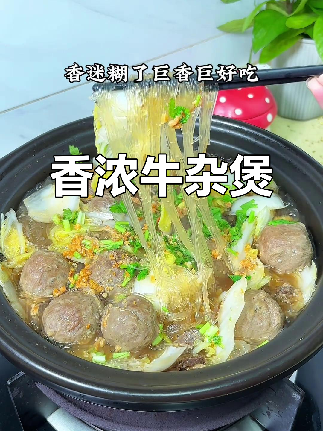 潮汕牛杂煲,香气扑鼻,粉丝吸满汤汁,味道绝佳!