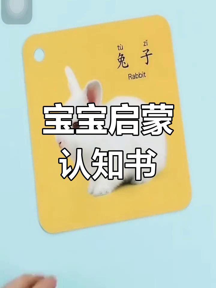 动物卡片,启蒙识字,宝宝早教益智玩具