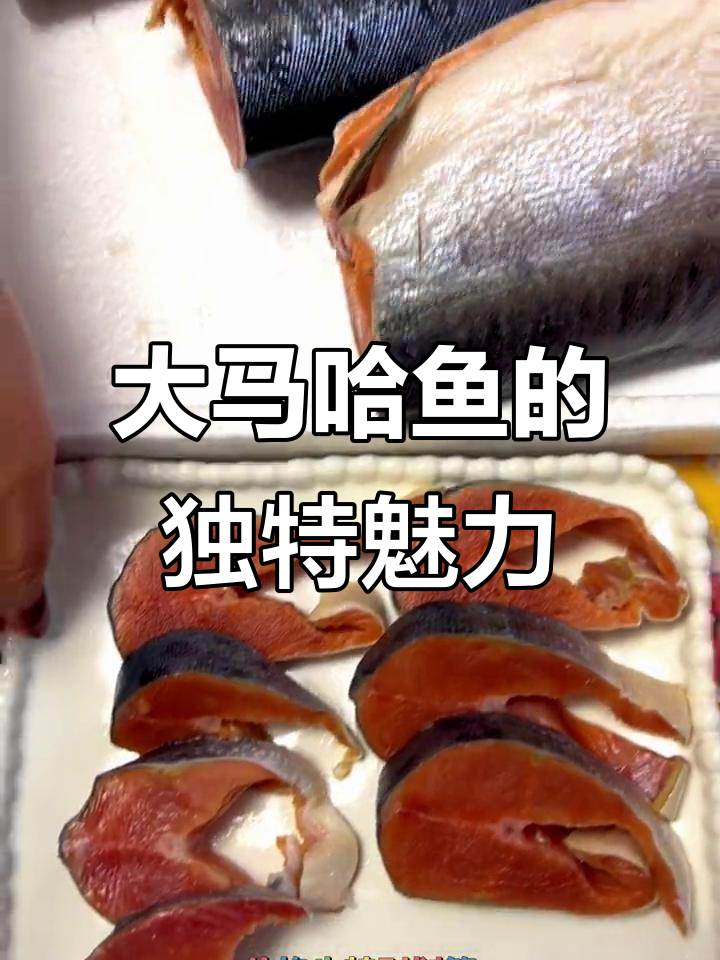 俄罗斯大马哈鱼:比三文鱼更美味,营养丰富!