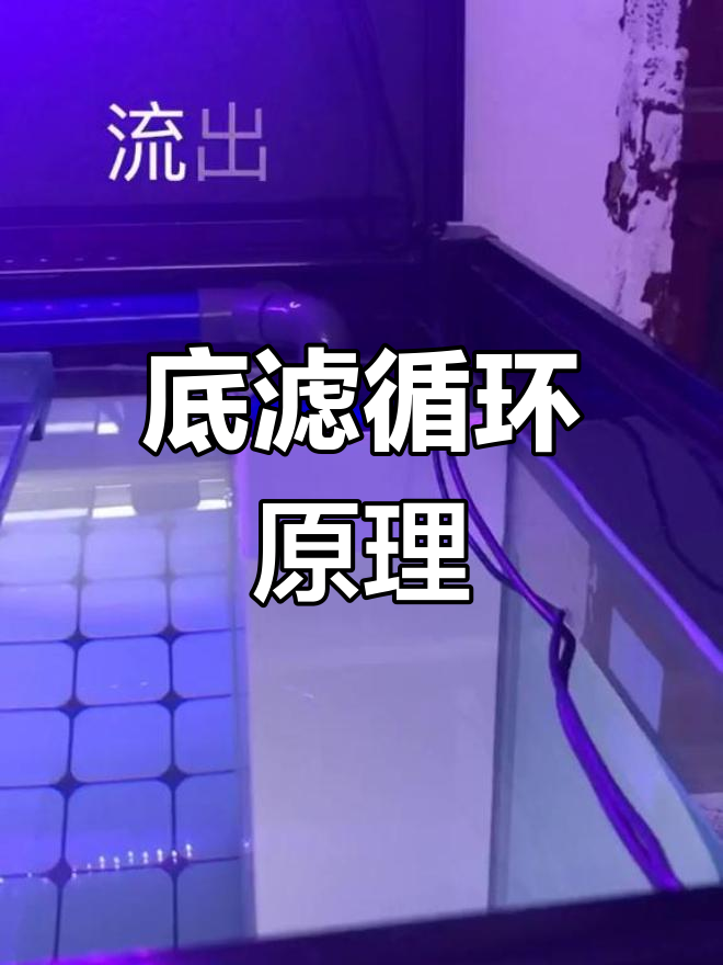 鱼缸底滤系统详解:溢流与过滤槽