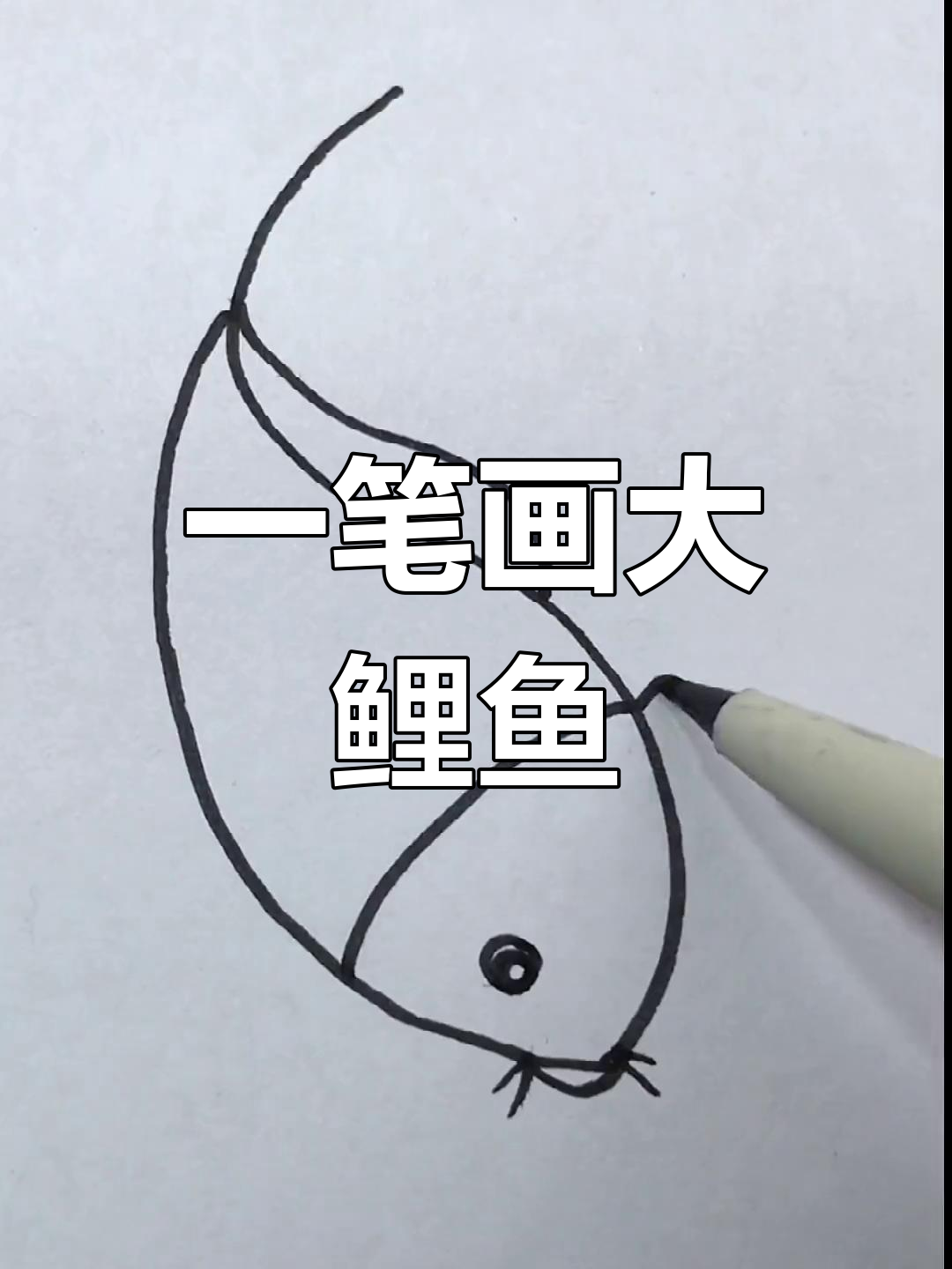 简单鲤鱼画法教程