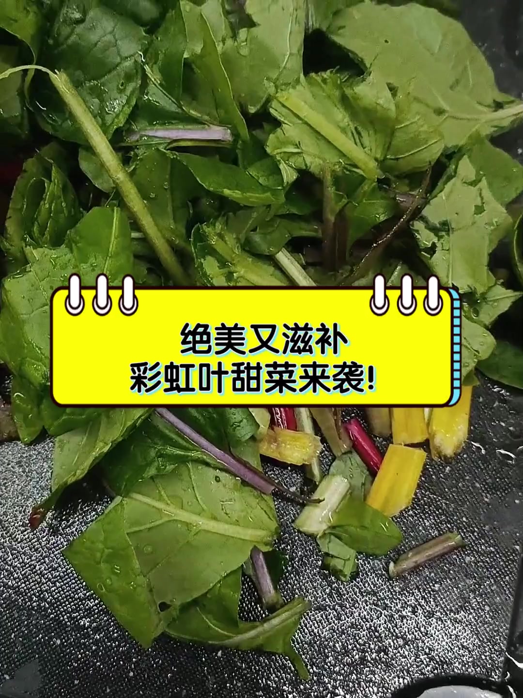 绝美又滋补,彩虹叶甜菜来袭!
