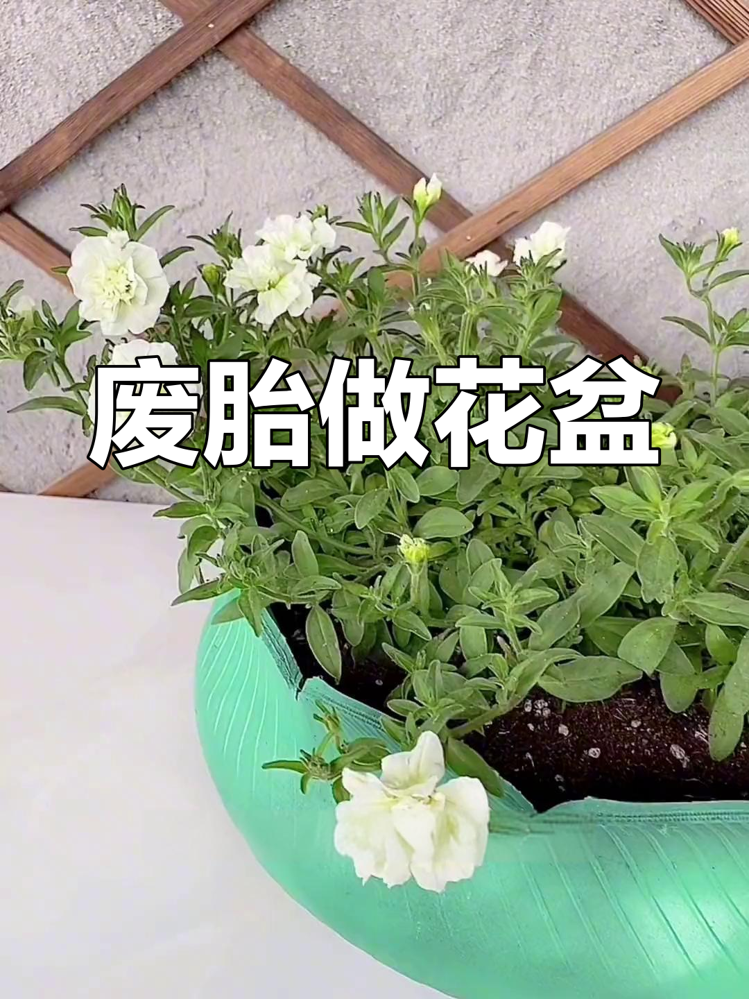 废轮胎变花盆,创意手工教程